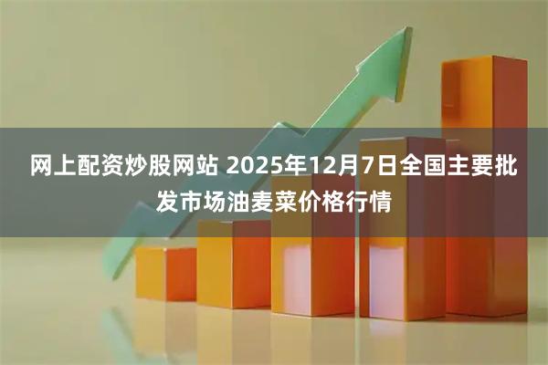 网上配资炒股网站 2025年12月7日全国主要批发市场油麦菜价格行情